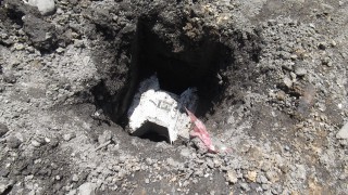 DSCF5116 - ã³ãã¼