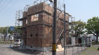 DSCF5119 - ã³ãã¼