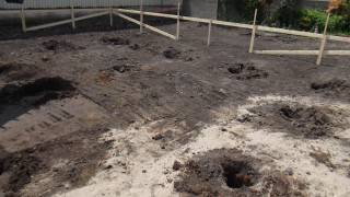 DSCF5112 - ã³ãã¼