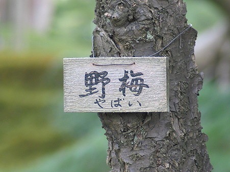 ï¼ï¼