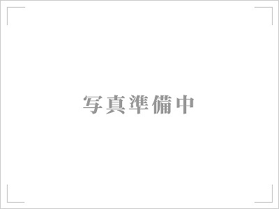 ï¼