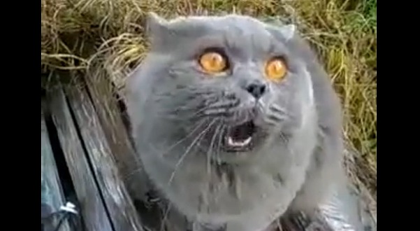 â 