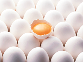 tamago