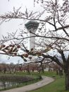 20160419kk0103
