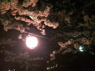ãã¡ã¤ã« 2016-05-11 9 38 06